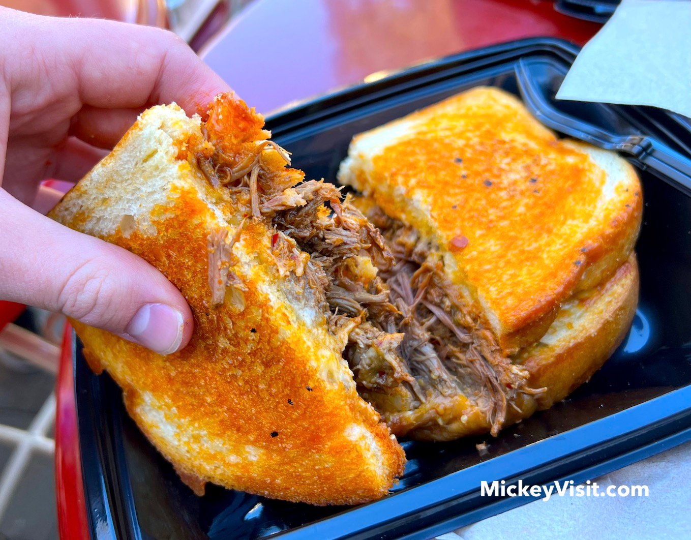 best disneyland food birria sandwich