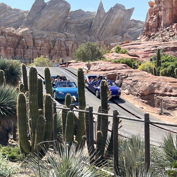 Disneyland Uber Lyft