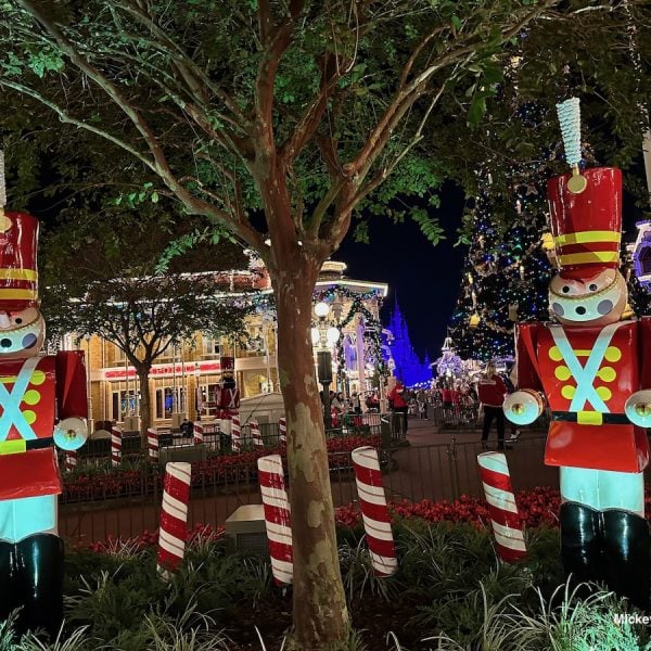 Magic Kingdom Decorations christmas
