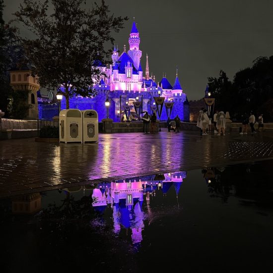 Disneyland hurricane