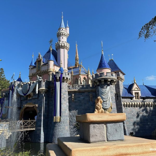 Sleeping Beauty Castle Park Hop