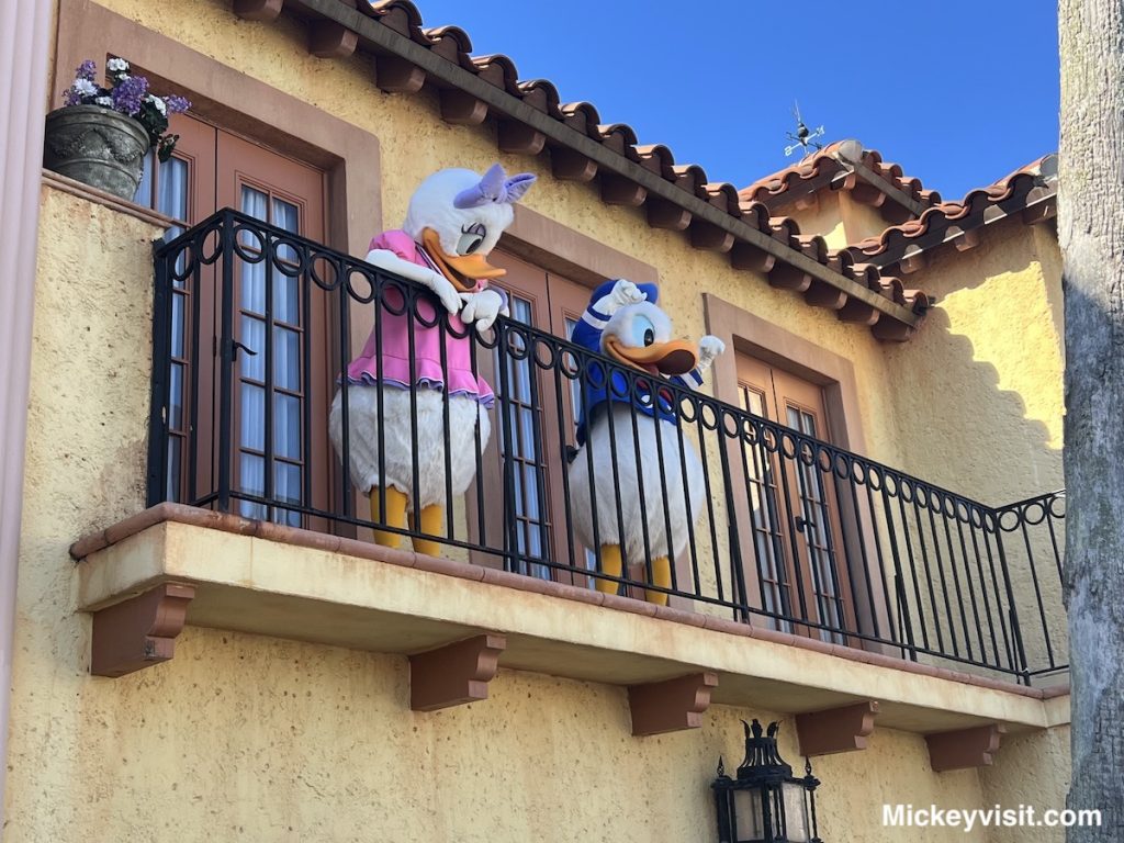 Daisy and Donald Duck 