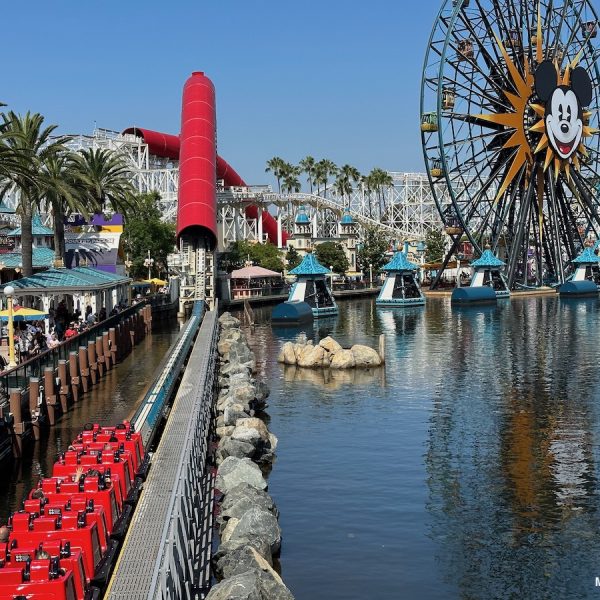 Park Hopping Disneyland
