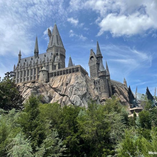 Harry Potter wands universal