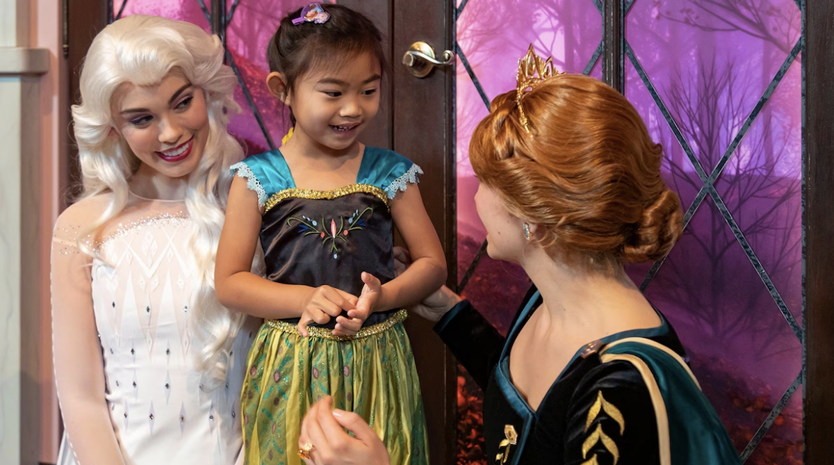 Save money Disneyland princess dresses