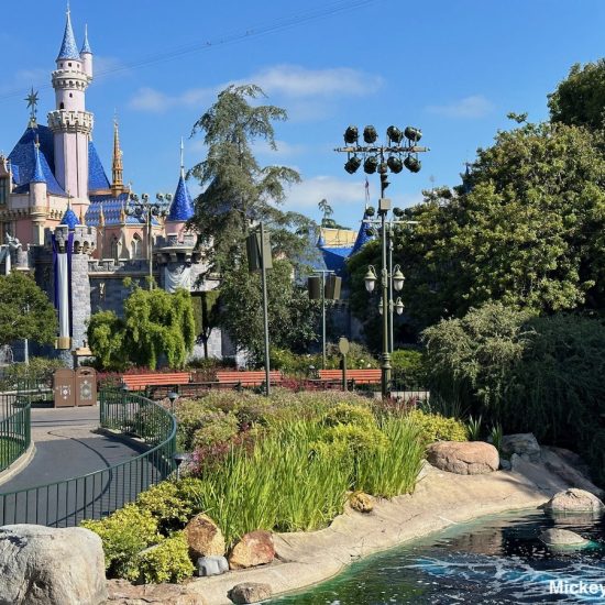 best day to visit Disneyland