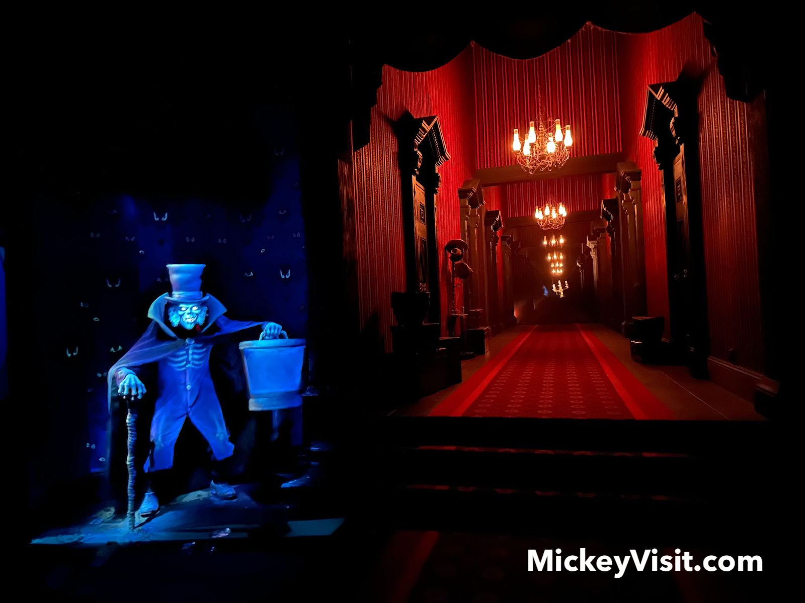 Photo Credit: Mickey Visit.