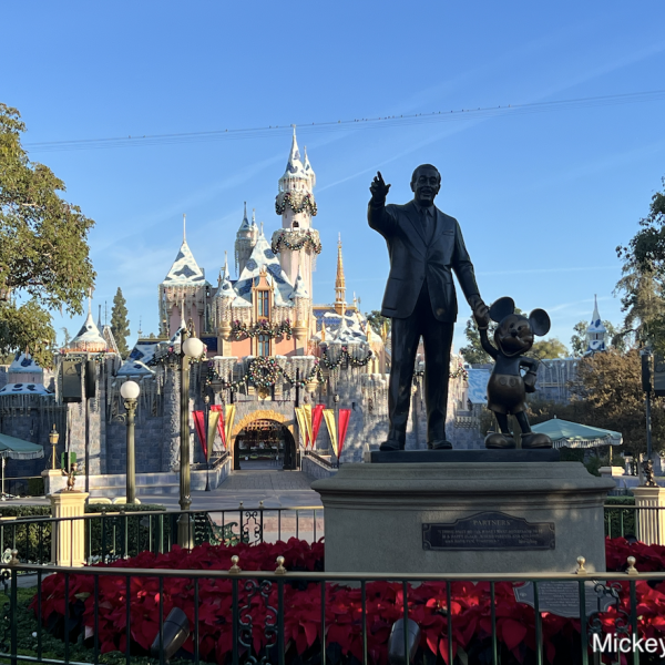 Disneyland Christmas character outfits