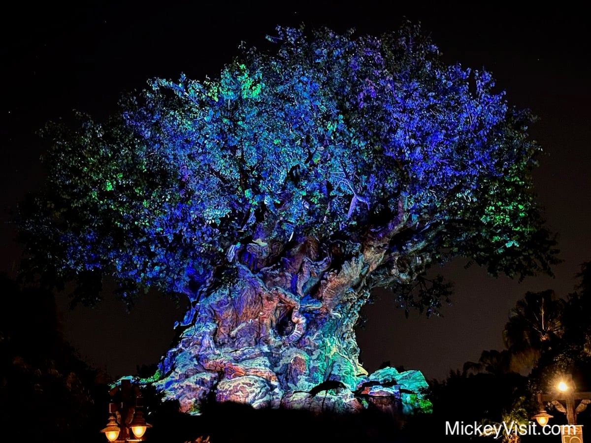 Tree of Life at night
