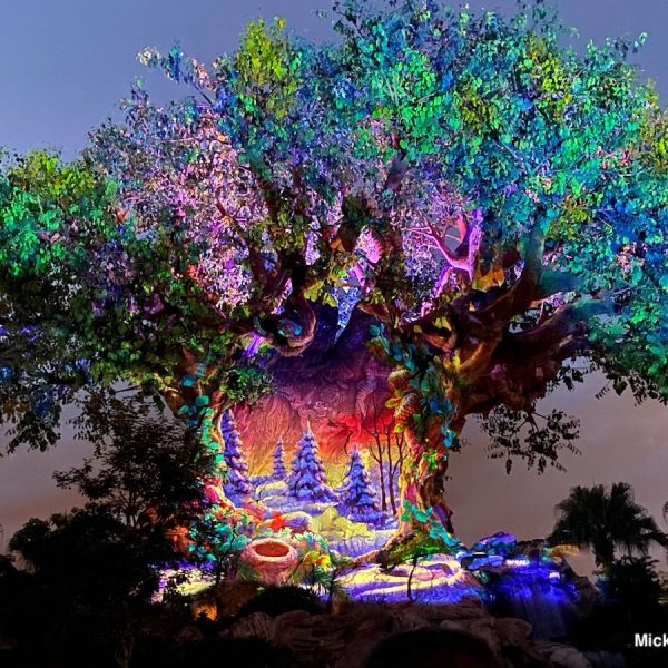Animal Kingdom Tree of Life