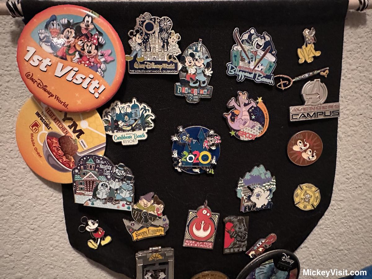 Pin Trading Guide 