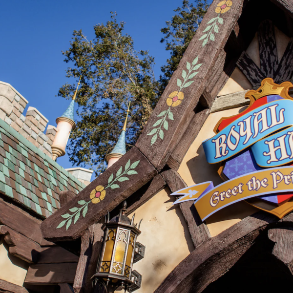 Disney New Wish