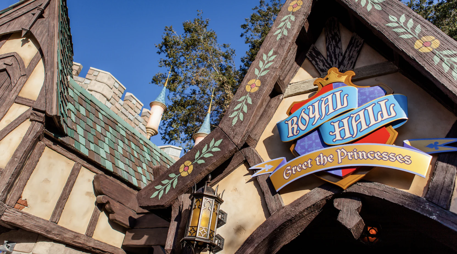 Where to meet Asha from 'Wish' at Disney World and Disneyland