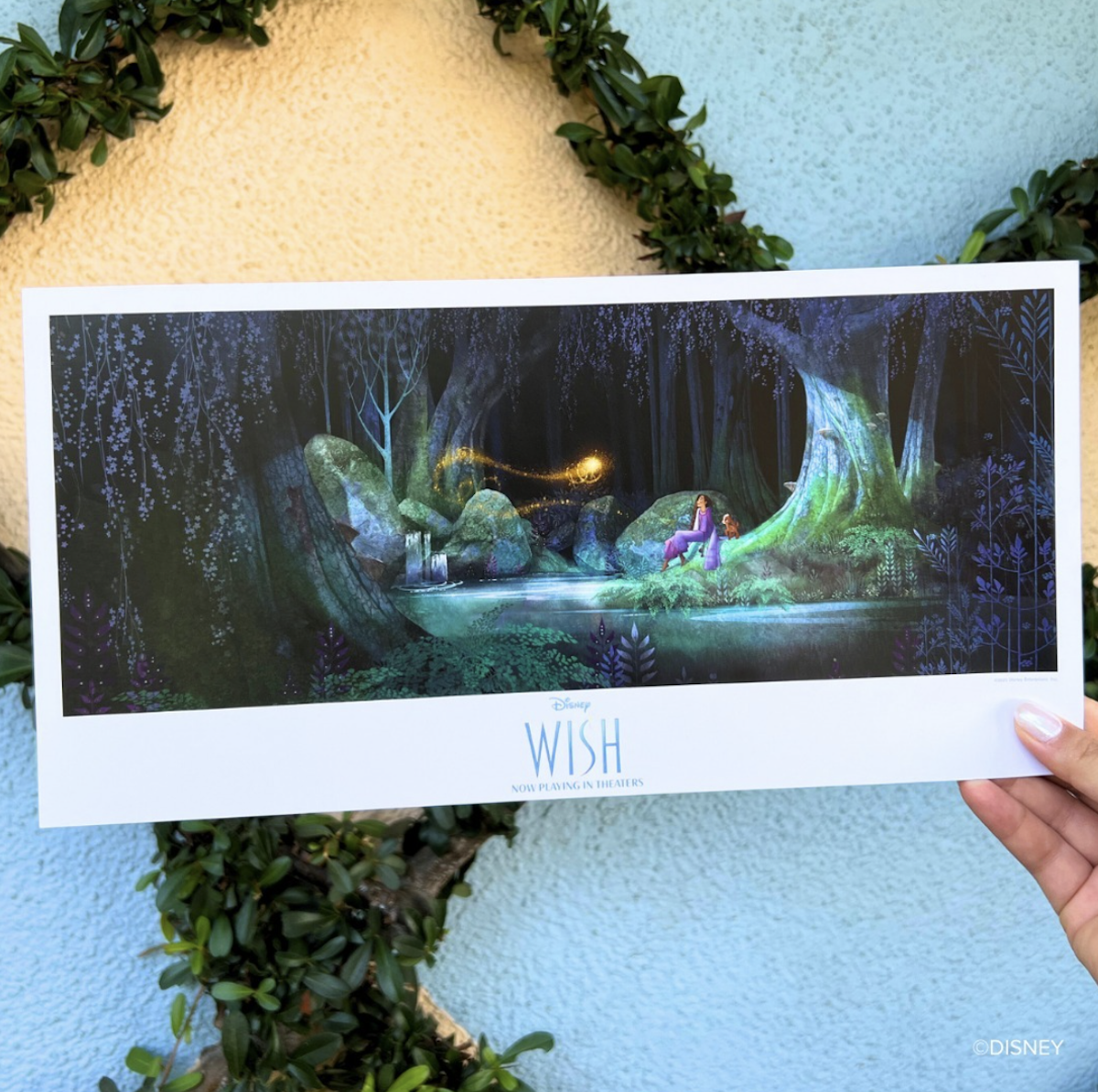Disneyland celebrates the theatrical release of 'Wish' with limited-time  offerings