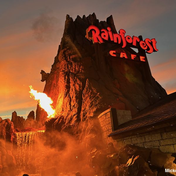 Rainforest Cafe Review