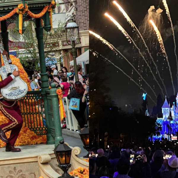 wondrous journeys and magic happens