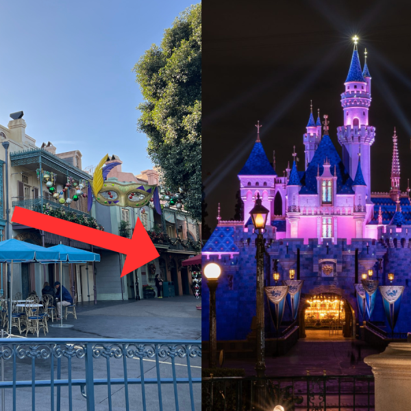 yaya chair disneyland secret