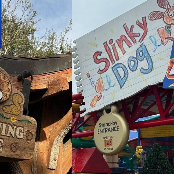 Disney World Genie Plus Guide