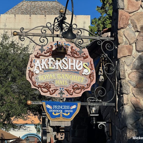 EPCOT Princess Dining Review