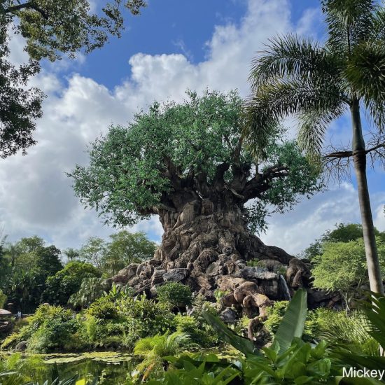 new Disney Parks experiences Animal Kingdom