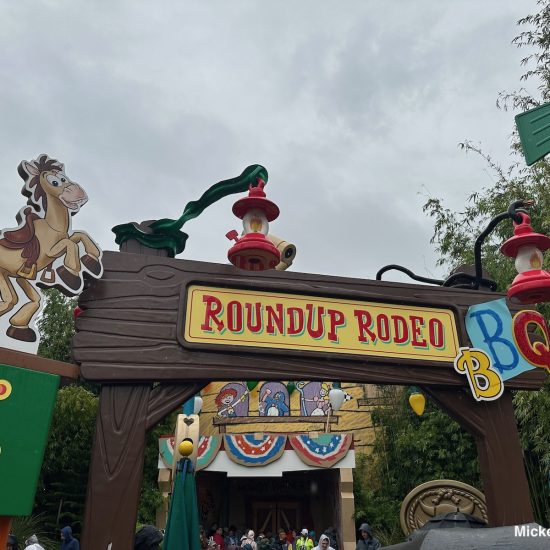 Roundup Rodeo BBQ Review