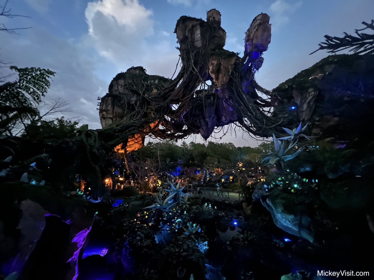 Avatar Experience Pandora