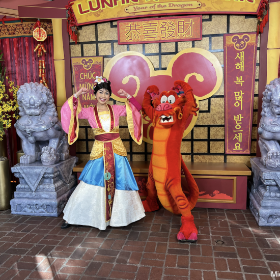 Disneyland Lunar New Year rare characters
