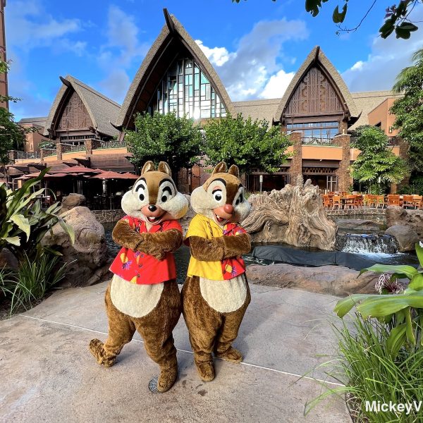 Aulani Chip n Dale