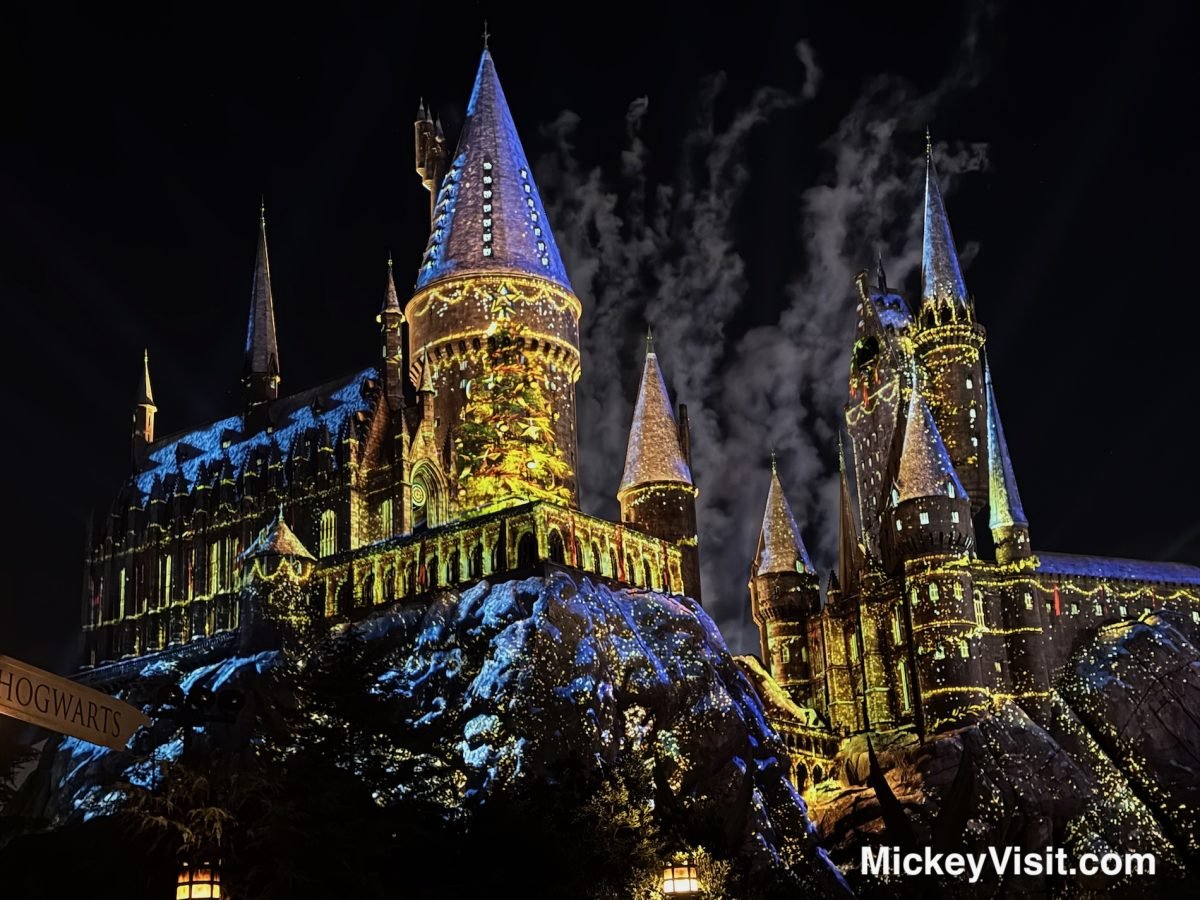 Harry potter lights