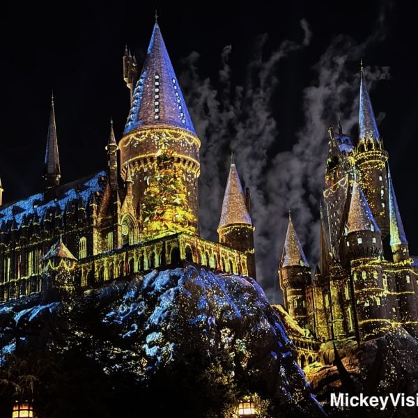 Harry potter lights