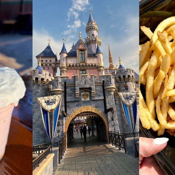 disneyland new foods