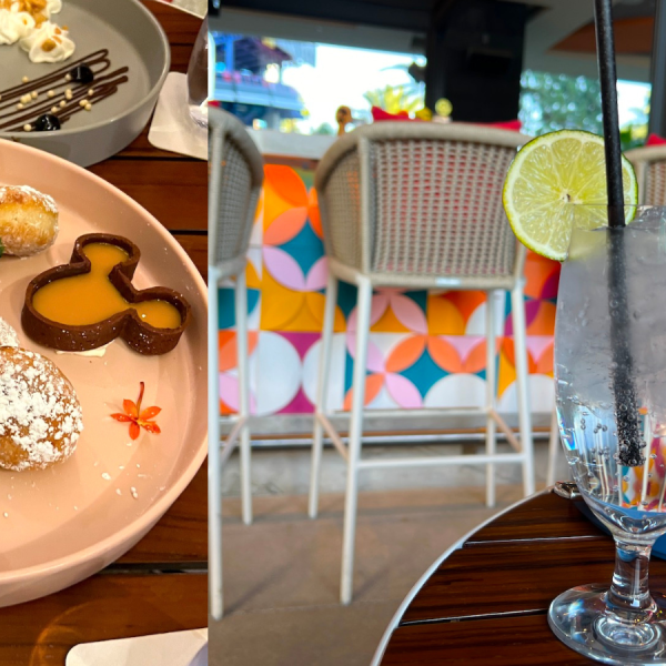 disneyland cove bar