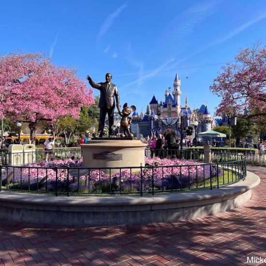Disneyland or Disney World Cheaper Hub