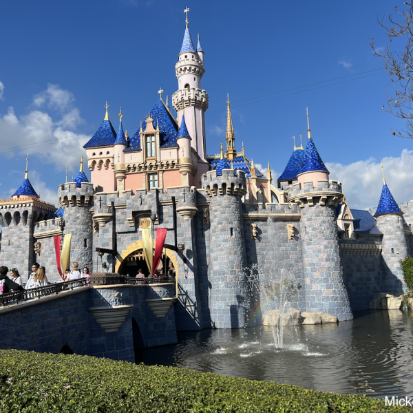 Sleeping Beauty Castle
