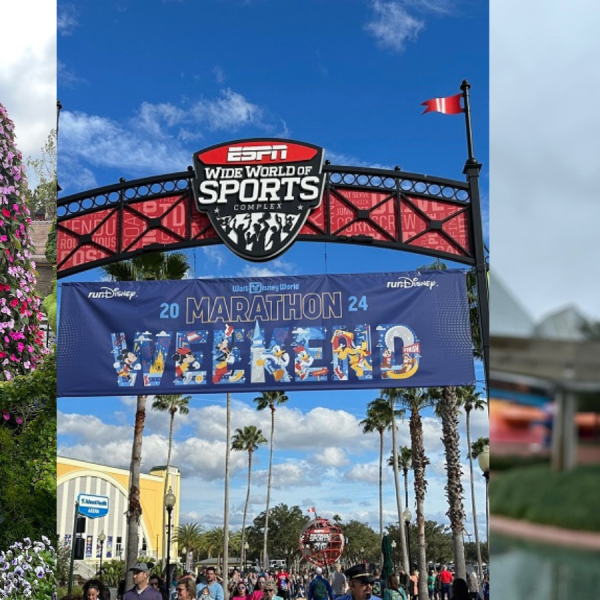 DIsney World festivals