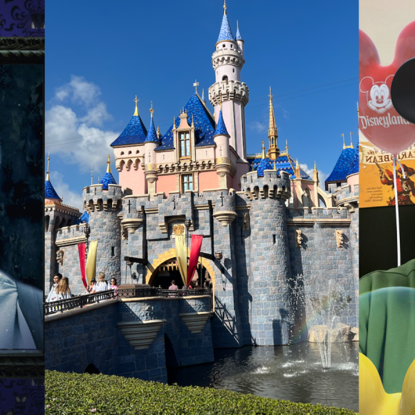 disneyland virtual lenses