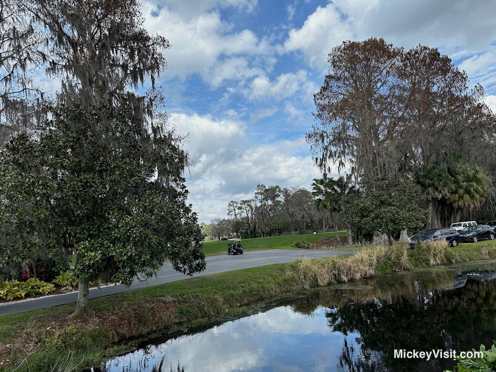 Disney World Golf Course View
