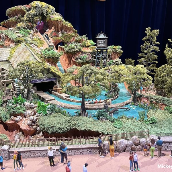 tianas bayou adventure disney opening date