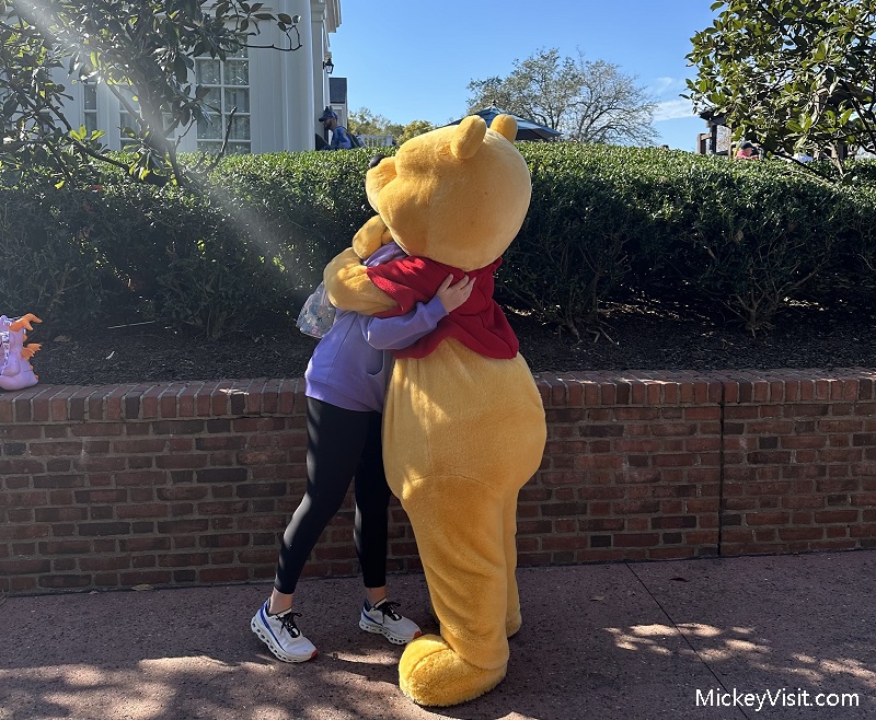 Winnie the Pooh hugging woman