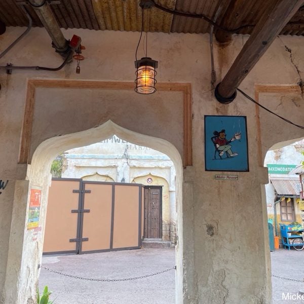 Hidden Mickey Harambe Market