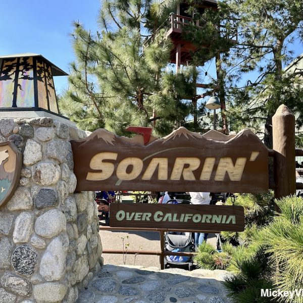 Soarin' Over California