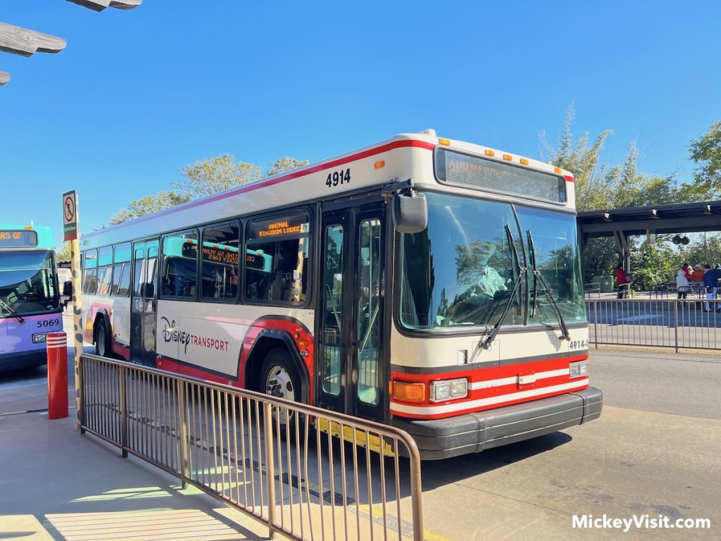 disney world bus