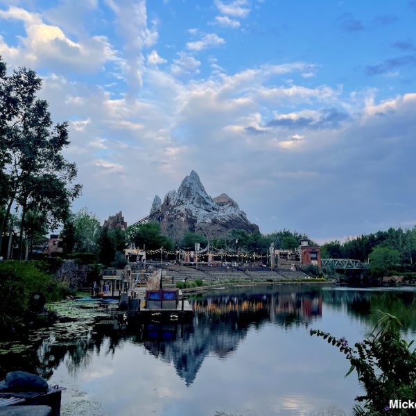 Animal Kingdom Expedition Everest