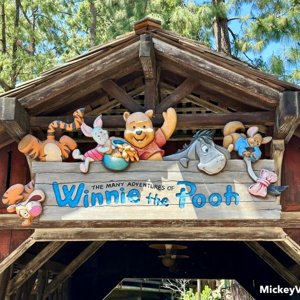 Winnie the Pooh ride Disneyland