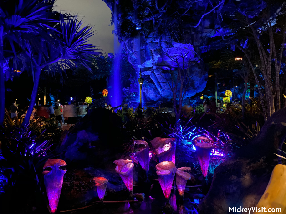 Pandora - World of Avatar at night