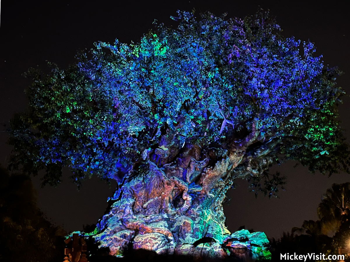 Tree of Life projections