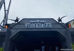 Universal Orlando Ticket Prices 2024- Pricing, Ticket Options