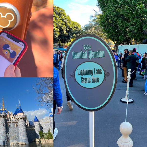 photos of lightning lane entries at disneyland and disney world