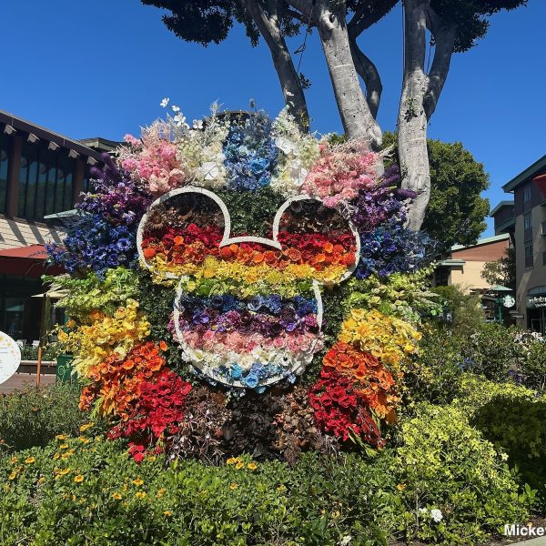 pride disneyland flowers