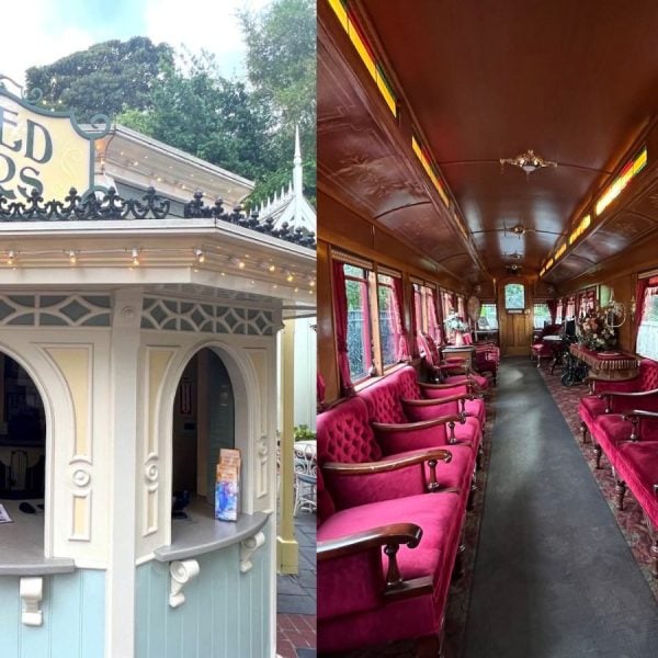 Disneyland tours